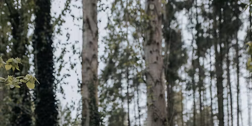 Woodland Drum Circle