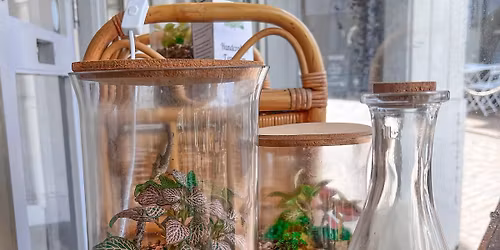 Make your own Terrarium