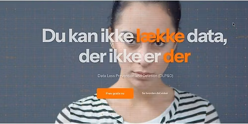F\u00e5 styr p\u00e5 persondata, f\u00f8r du giver AI adgang