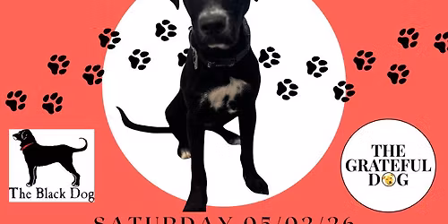 \u2693\ufe0f THE OLD PORT ADOPTION EVENT! \ud83d\udc3e The Grateful Dog & The Black Dog