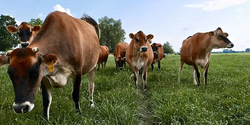 \ud83c\udf84Christmas at The Woodruff Farm\ud83c\udf84