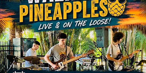 Landys Weekend Spotlight Band: THE WALKING PINEAPPLES \ud83c\udf4d 