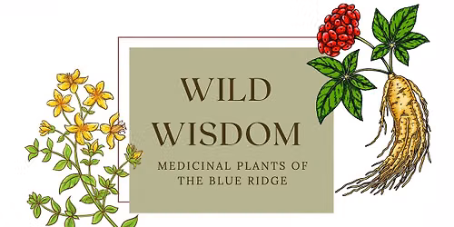 Medicinal Plants of the Blue Ridge: The Wild Wisdom that Surrounds Us Presentation