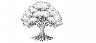 Winding Oaks Elementary Spirit Night