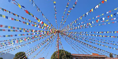 The November Festival 2025