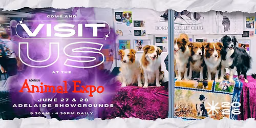 Border Collie Stall at the Adelaide Animal Expo