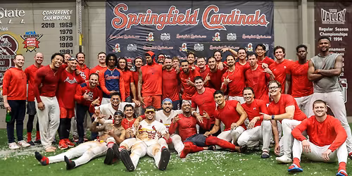 Springfield Cardinals vs. Midland RockHounds