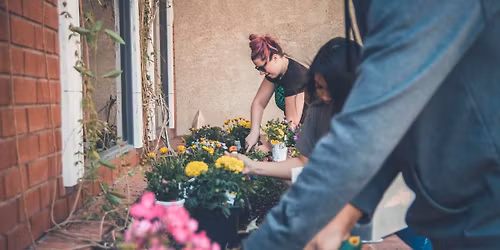 Garden cleanups and installation