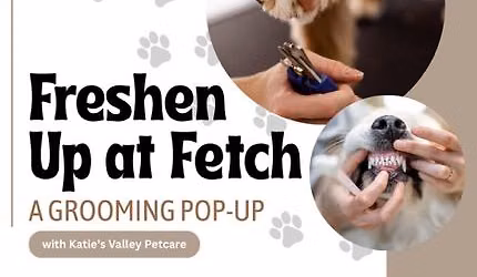 Freshen Up at Fetch with Katie's Valley Petcare