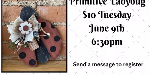 Primitive Ladybug