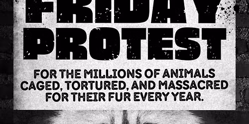 CHICAGO: FUR-FREE FRIDAY 2025 (& WEEKEND)