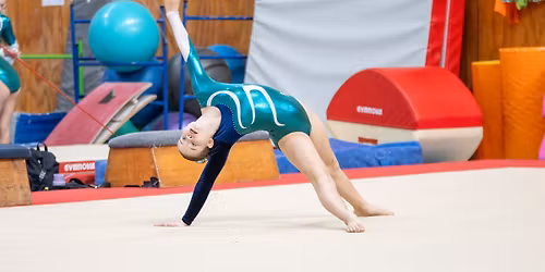 HCG Artistic Elementary Competition 2026!