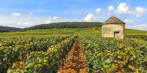 Chardonnay fra hele verden | 22. mai
