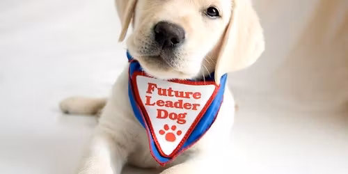 Puppy Love Basic Yoga Class, Saturday, January 24 at 1:30PM At UpDog Yoga Rochester