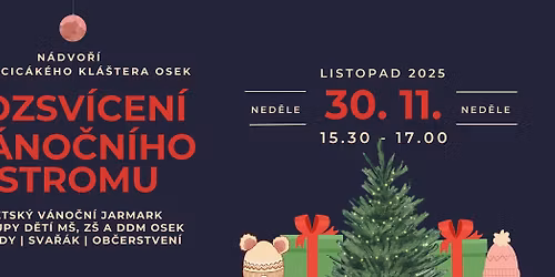 Rozsvícení vánočního sromu