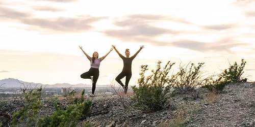 Sunset and Yoga Hike Among the Saguaros