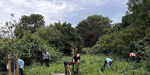 The Conservation Volunteers - Willow Way Meadow Management