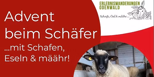Advent beim Sch\u00e4fer 