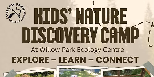 Nature Discovery Camp - Week Five Animal Jive