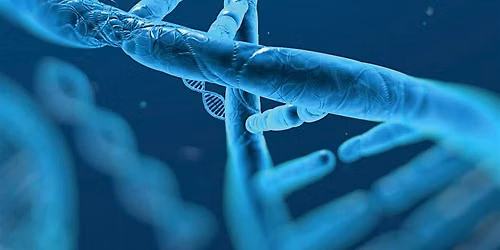 DNA Evidence, Interpretation & Services in Immigration Casework