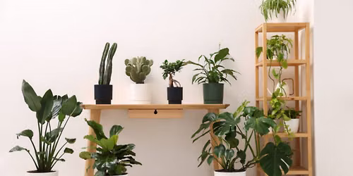 Plant Swap