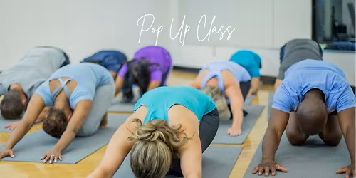 Pop Up Vinyasa Flow with Kelly McElhaney