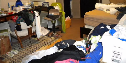 * Overwhelmed with Clutter? Learn to Let Go! a Clutter Class - FREE Consult