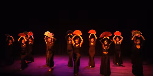 Mednarodni dan flamenka s KUD Luna Gitana