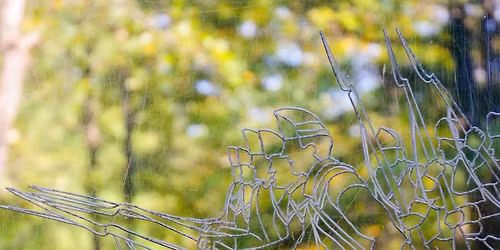 Lecture: Turning Point in the South \u2014 The Battle of Cowpens With Freddie Kiger \u201974