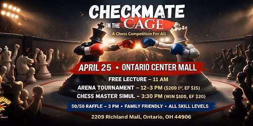 Chess Day at the Mall 