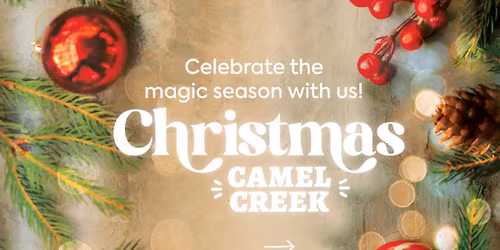 \ud83c\udf81 Book Christmas Now & SAVE 25% \ud83c\udf81