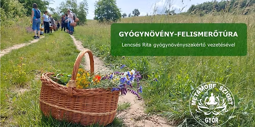 Gy\u00f3gyn\u00f6v\u00e9ny-felismer\u0151t\u00fara Gy\u0151r\u00fajbar\u00e1ton