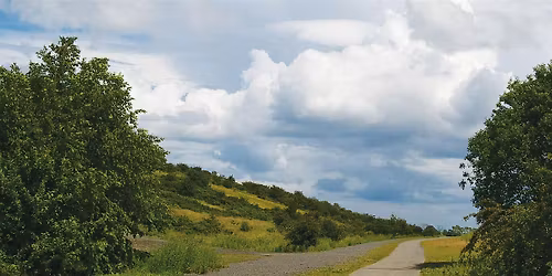Weetslade guided walk