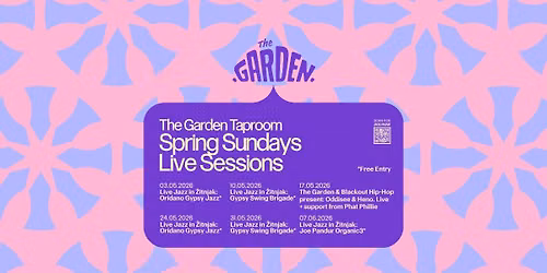 Sunday Live Sessions: Joe Pandur Organic3