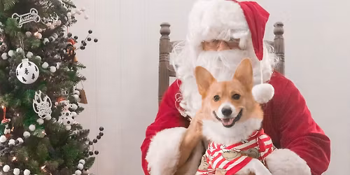 Santa Paws Pawty