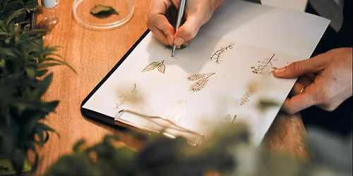 Art Class: Drawing Spring Botanicals