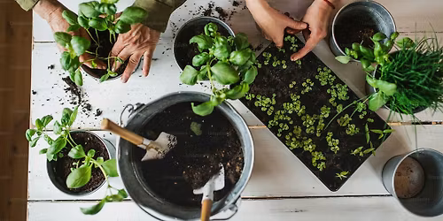 Mother's Day Herb Garden Workshop