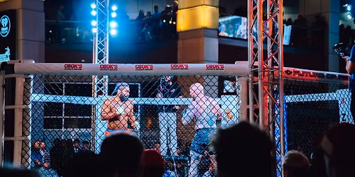 Future of Fighting 9