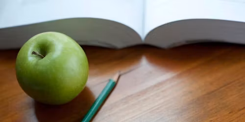 WiP: Higher Education Reform and Academic Community Responses in Georgia