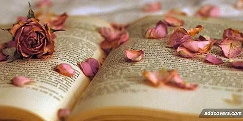 Christmas book club drink and mince pie 