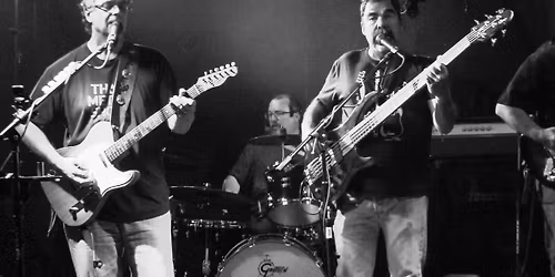 Jokers to the Right at Katt's Cove