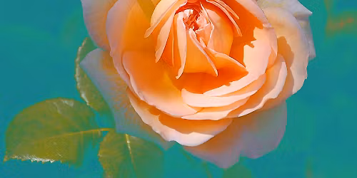 EAU CLAIRE - Public Spiritual Discussion