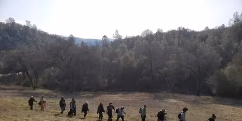 Easy walk: Dry Creek Trail- Nicci T