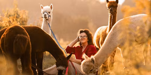 Alpaki z Miko\u0142ajem