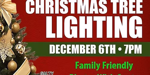 First Annual Apollo Beach Tree Lighting w\/The Fulcos  