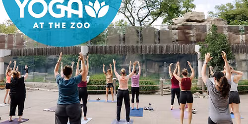 Yoga at the Zoo