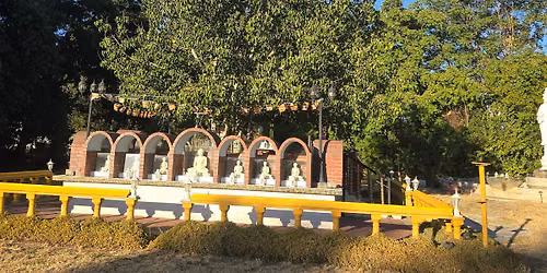 Celebration of the Sacred Bodhi Tree