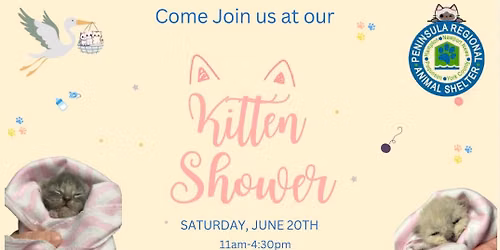 Kitten Shower