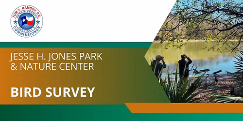 Bird Survey