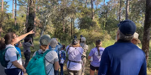 Bird Survey